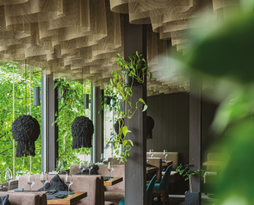 Tbiliso Русанівка